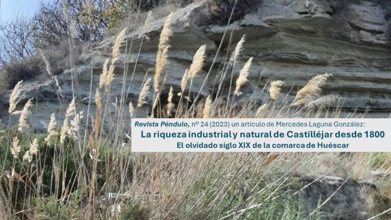 La riqueza industrial y natural de Castilléjar. El olvidado siglo XIX de la comarca de Huéscar